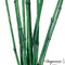 Uniquewise 43" Set of 12 Bamboo Stick Fillers Natural Decorative Stems for Vase Rustic Table Centerpiece Home Décor Accent DIY Crafts Creative Gardening Tool Boho Wedding & Party Decoration
